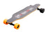 Whizzy Ride X2 36V 250W Hub Motor Electric Skateboard
