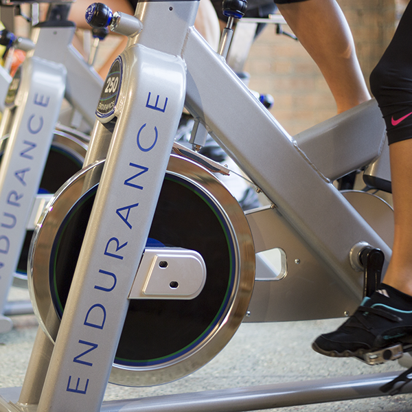 Body Solid Endurance Exercise Bike ESB250